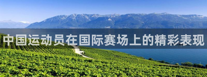 即嗨体育网页版