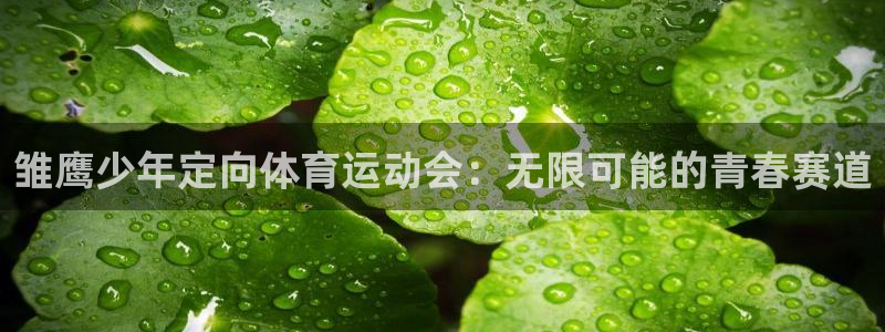 即嗨体育
