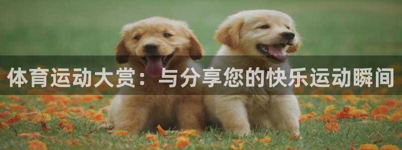即嗨体育app下载官网